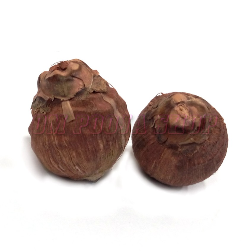 Laghu Nariyal (Small Coconut) 