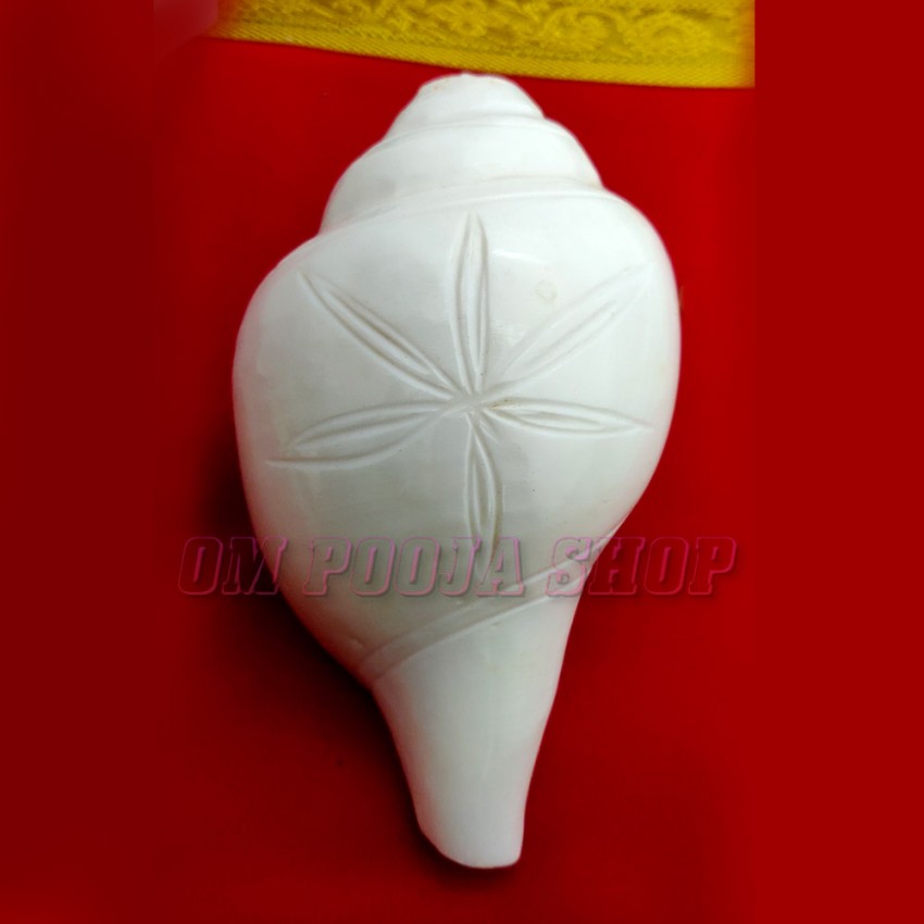 Natural Blowing Shankh for Pooja with Flower Carving Work