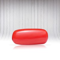 Red Coral (Munga) - Capsule - 3.65 carat