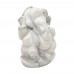 Vighnesh Ganesha Howlite Gemstone Idol - 68 GMS
