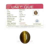 Cat's Eye Gemstone Ratna - 7.70 Carats