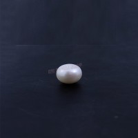 South Sea Pearl (Moti) - 2.76 carats