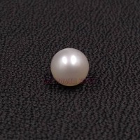 South Sea Pearl
