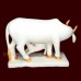 Cow and Calf Statue in White Marble- Size: 9 x 12 x 5 inch - 7 kgs