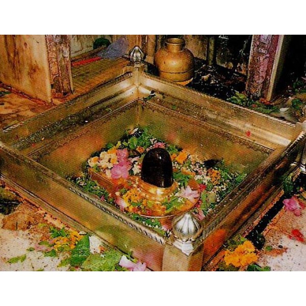 Kashi Vishwanath Temple Prasadam, Varanasi