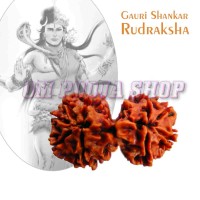 Gauri Shankar Rudraksha