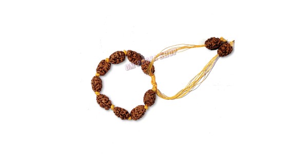 Natural Brown Colour Hindi 2- 7 Mukhi Rudraksha Bracelet, For Wear This In  Wrist at Rs 1200/piece in Noida
