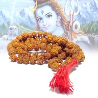 Pure Handmade 5 Mukhi Rudraksha Mala