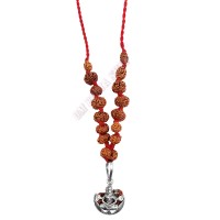 Rudraksha SidhShakti Mala from Indonesia (Beads Size 12 to 20 mm)