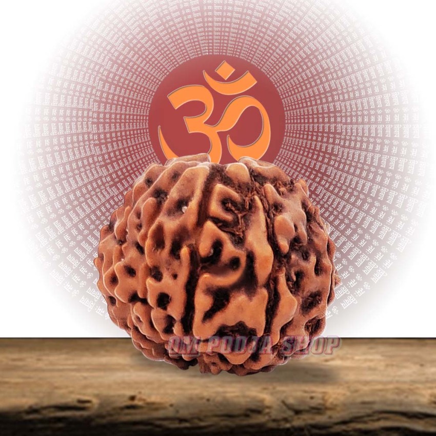 Twelve Mukhi Rudraksha from Nepal with Om Holy Symbol - 20 mm