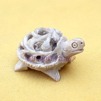 Tortoise in Rock Stone