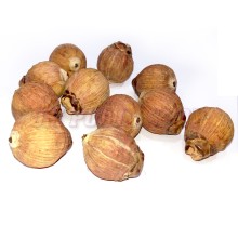 Betelnut, Coconut (9)