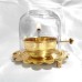 Brass Akhand Diya with Glass Cover | Long-Lasting Oil Lamp with Wick Adjuster