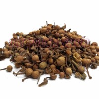 Nagkesar (Mesua ferrea)