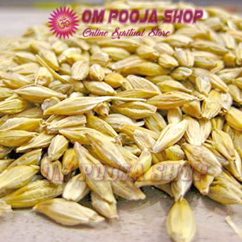 Barley (Jow) Grains For Havan, Health