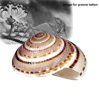 Vishnu Sudarshan Chakra Shankh