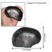 Authentic Purshotam Shaligram Stone – Holy Vishnu Shila for Temple & Home Worship