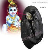 Bal Gopal Vasudeva Shaligram Shila Stone