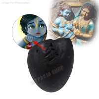 Damodar Krishna Shaligram Shila Stone