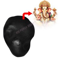 Ganesh Mukh Darshan Narayan Shaligram Shila