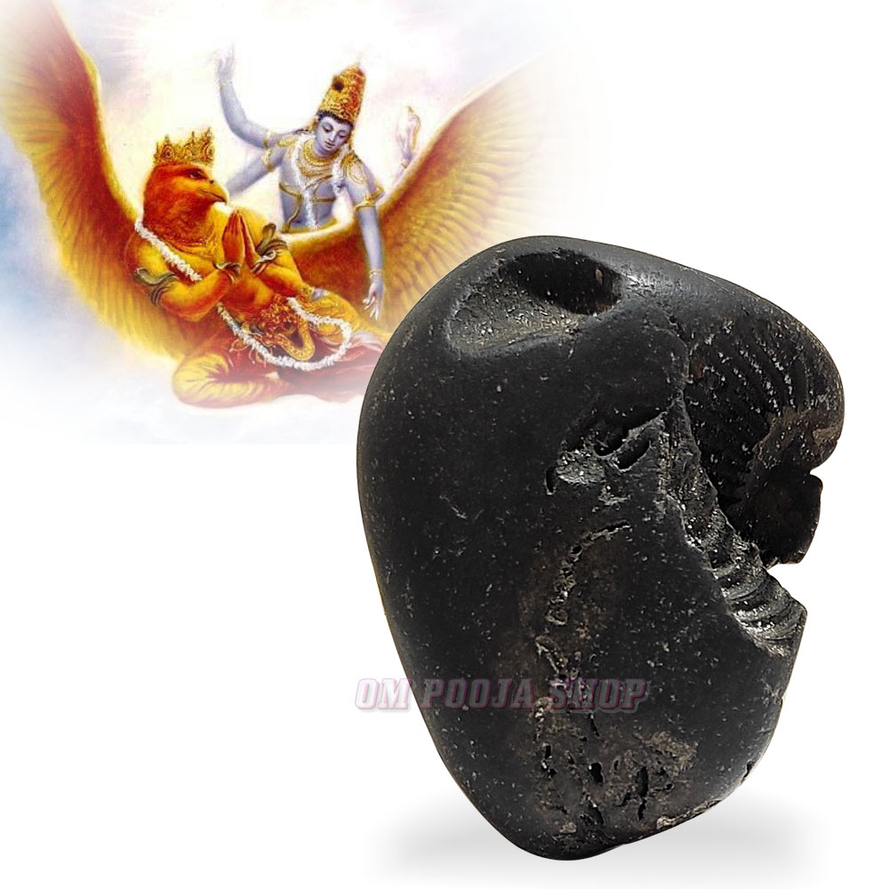 Buy Garuda Vishnu Shaligram Stone Shila online @ best price
