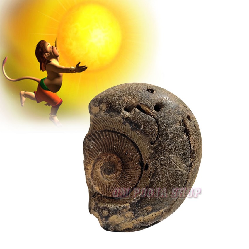 Hanuman Surya Shaligram Stone Shila