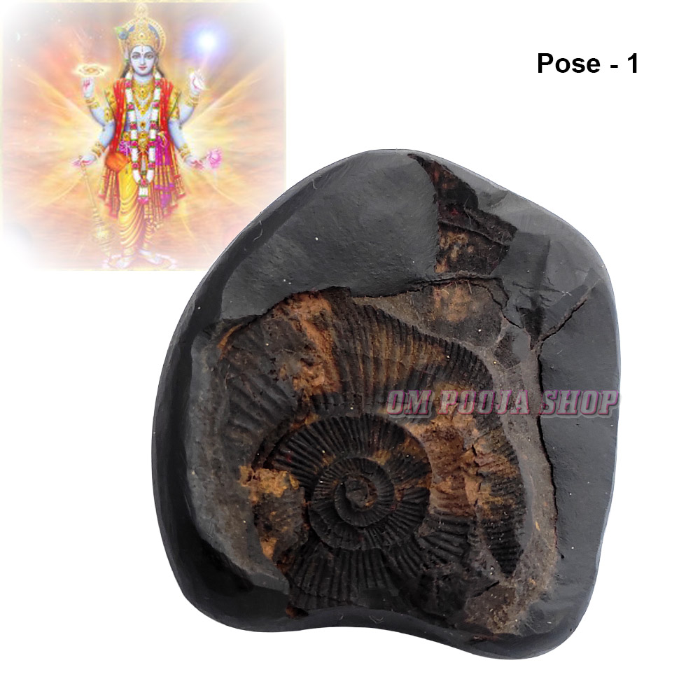 Buy Shri Hari Shaligram Stone Shila online from india
