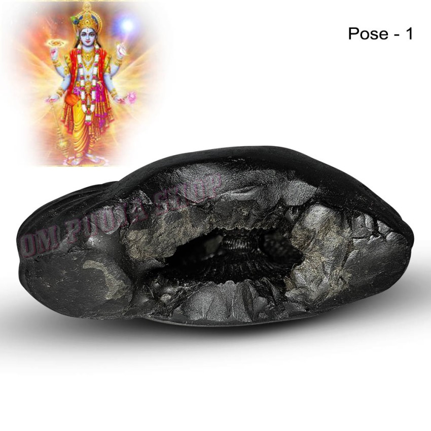 Shri Hari Shaligram Stone Shila