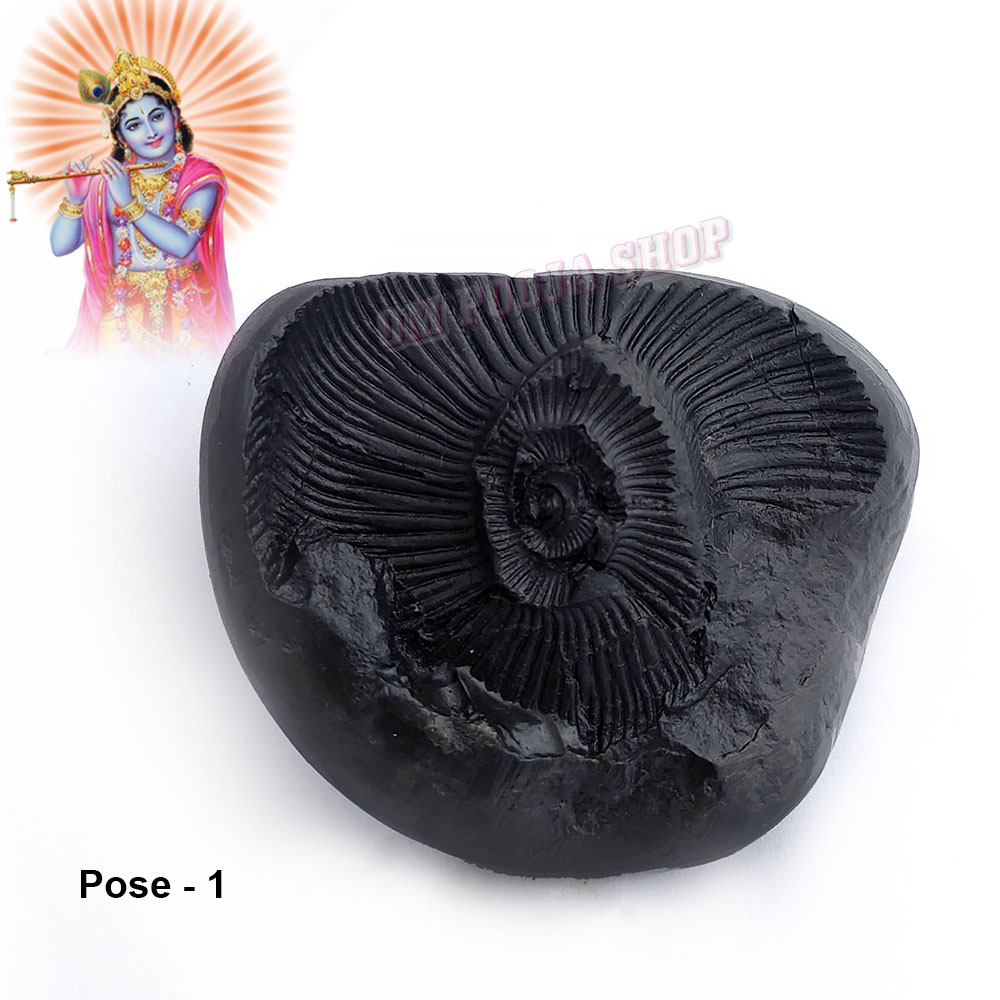 Buy Krishna Original Shaligram Stone