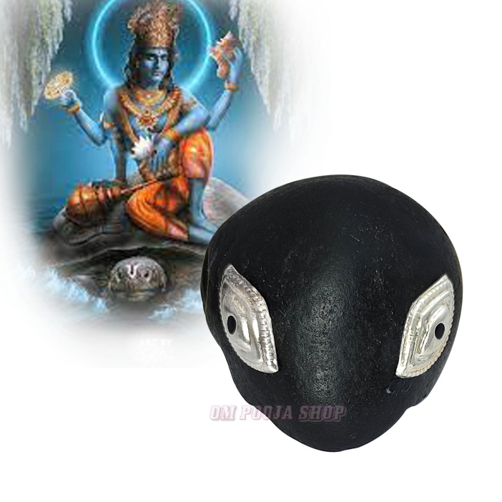 Kurma Avatar Shaligram Shila Stone @ best price India