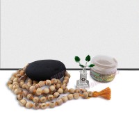 Lakshmi Narayan Tulsi Shaligram Stone Pooja Set