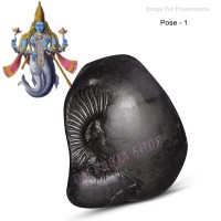 Matsya Narayan Shaligram Shila