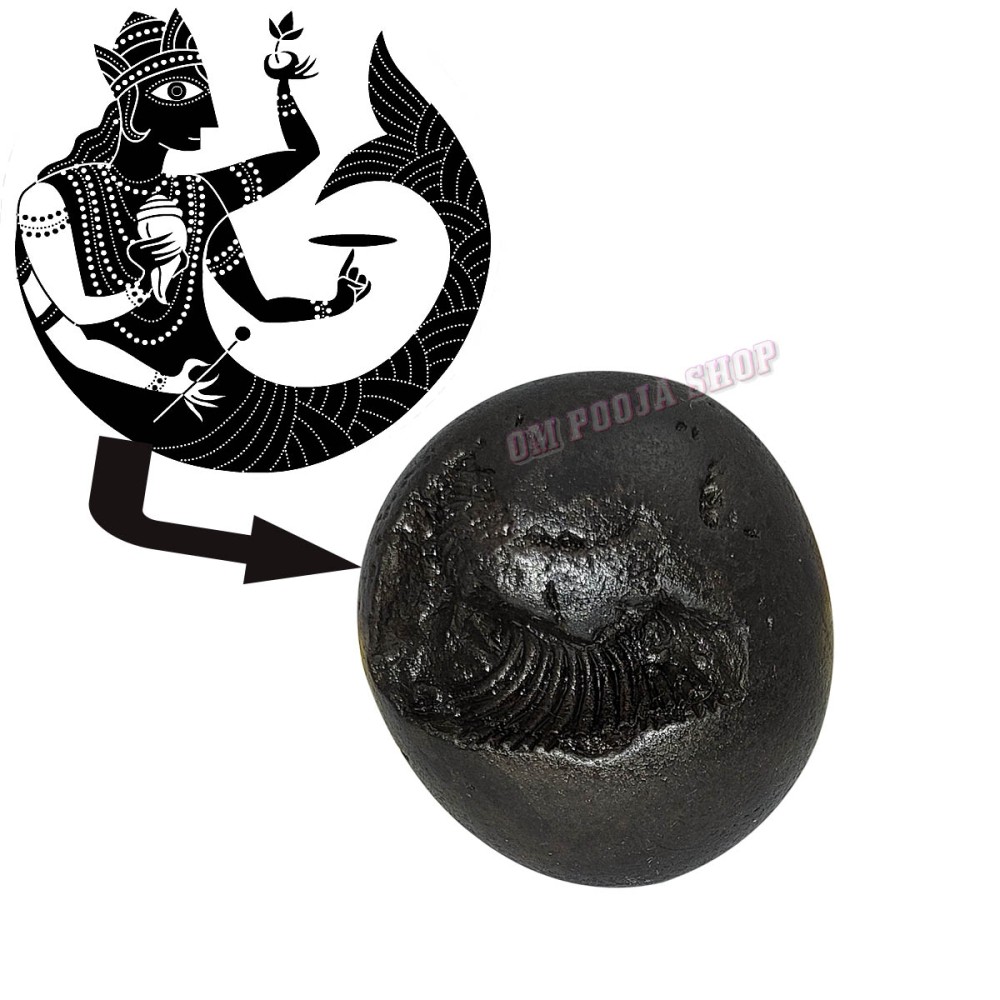 Buy Matsya Shaligram Shila Stone online India USA UK