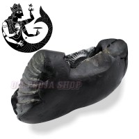 Matsya Shaligram Shila Stone