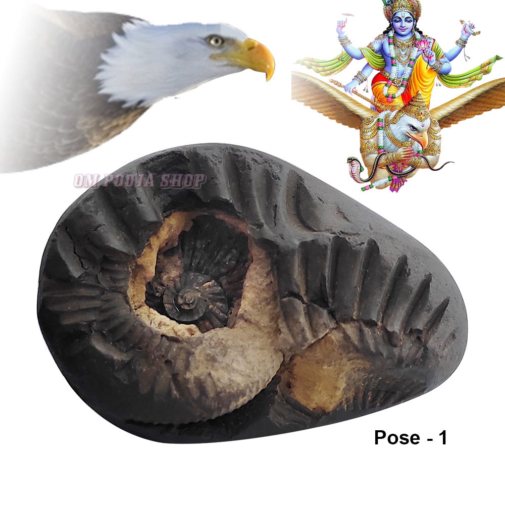 Shree Narayan Chakra Garuda Shaligram Stone Shila