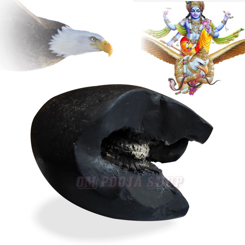 Shree Narayan Chakra Garuda Shaligram Stone Shila