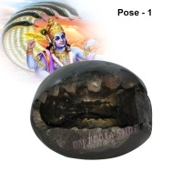 Shri Narayan Vishnu Shaligram Stone