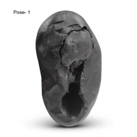 Original Shree Ji Shaligram Stone from Gandaki River – Powerful Vishnu Energy Stone
