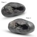 Original Shree Ji Shaligram Stone from Gandaki River – Powerful Vishnu Energy Stone
