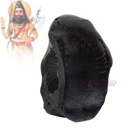 Lord Parshuram Shaligram Stone Shila