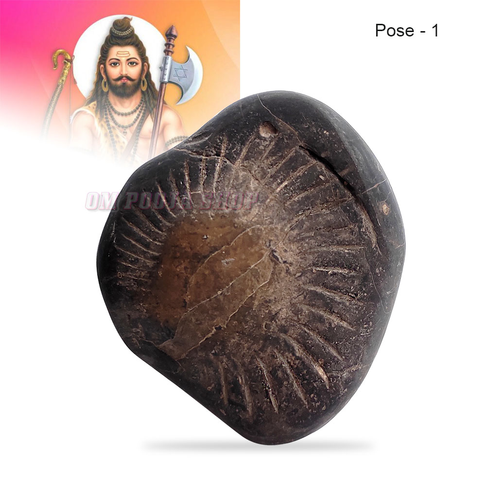 Shree Parshuram Vishnu Shaligram Stone Shila buy online