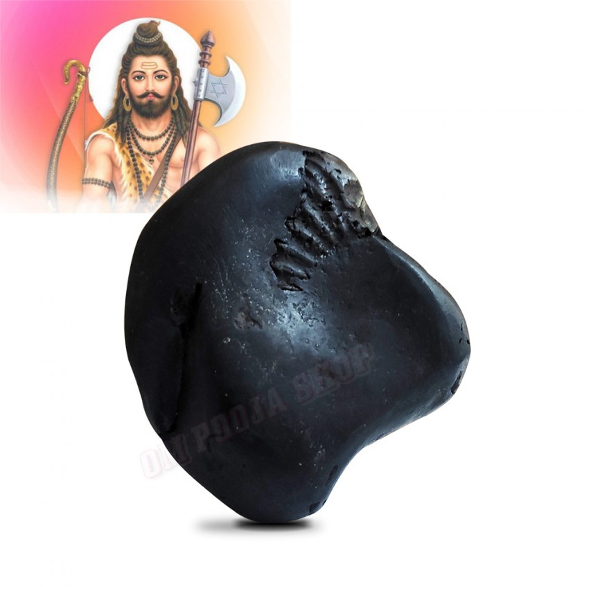 Shree Parshuram Vishnu Shaligram Stone Shila