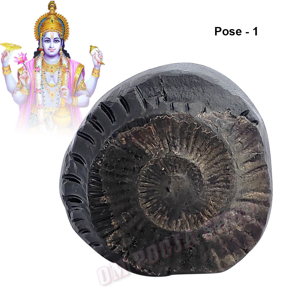 Sudarshan Chakra Shaligram Shila