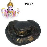 Sudarshan Chakra Shaligram Shila - Big Size
