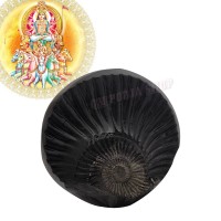 Surya Narayan Shaligram Shila Stone