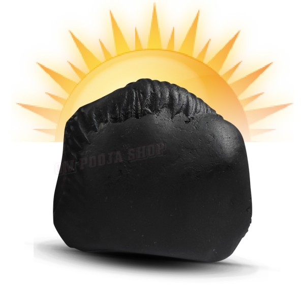 Surya Shaligram Shila