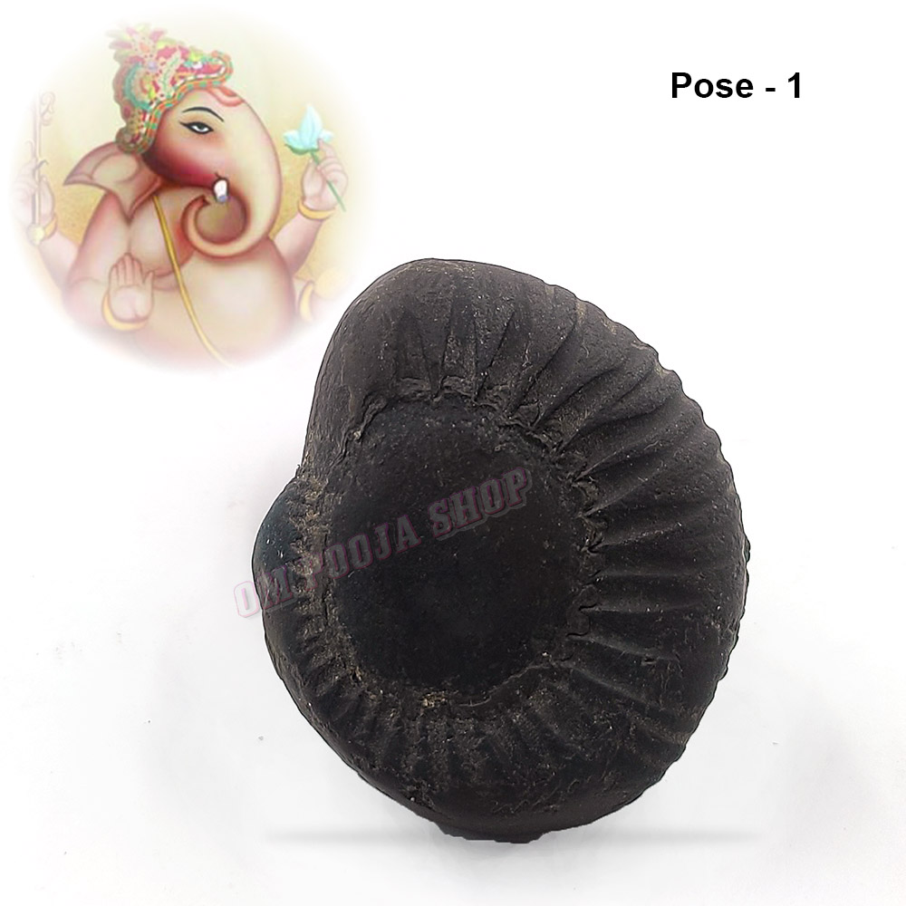 Buy Vakratunda Ganpati Vishnu Shaligram Shila online