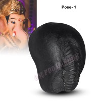 Vakratunda Ganpati Vishnu Shaligram Shila