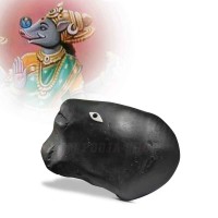 Varaha Shaligram Shila Stone