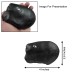 Varaha Shaligram Shila Stone